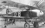 Samolot Albatros D-II w widoku z przodu. (Źródło: archiwum).
