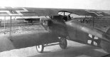 Samolot Albatros D-II w widoku z tyłu. (Źródło: archiwum).