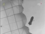 Balon obserwacyjny przystosowany do szkolenia skoczków spadochronowych, pod czaszą spadochronu. Kadr z filmu ”Czerwone berety”.  (Źródło: film  ”Czerwone berety”, 1962 r.).