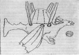 Szkic ”Latającego Smoka” z profilu, rysunek z Archiwum Académie des Sciences w Paryżu (Źródło: Technika Lotnicza i Astronautyczna nr 4/1989).